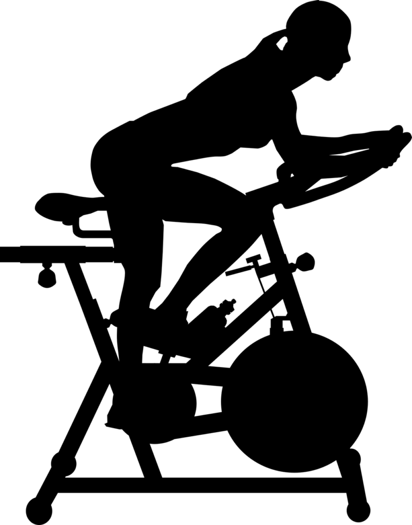 bici estatica